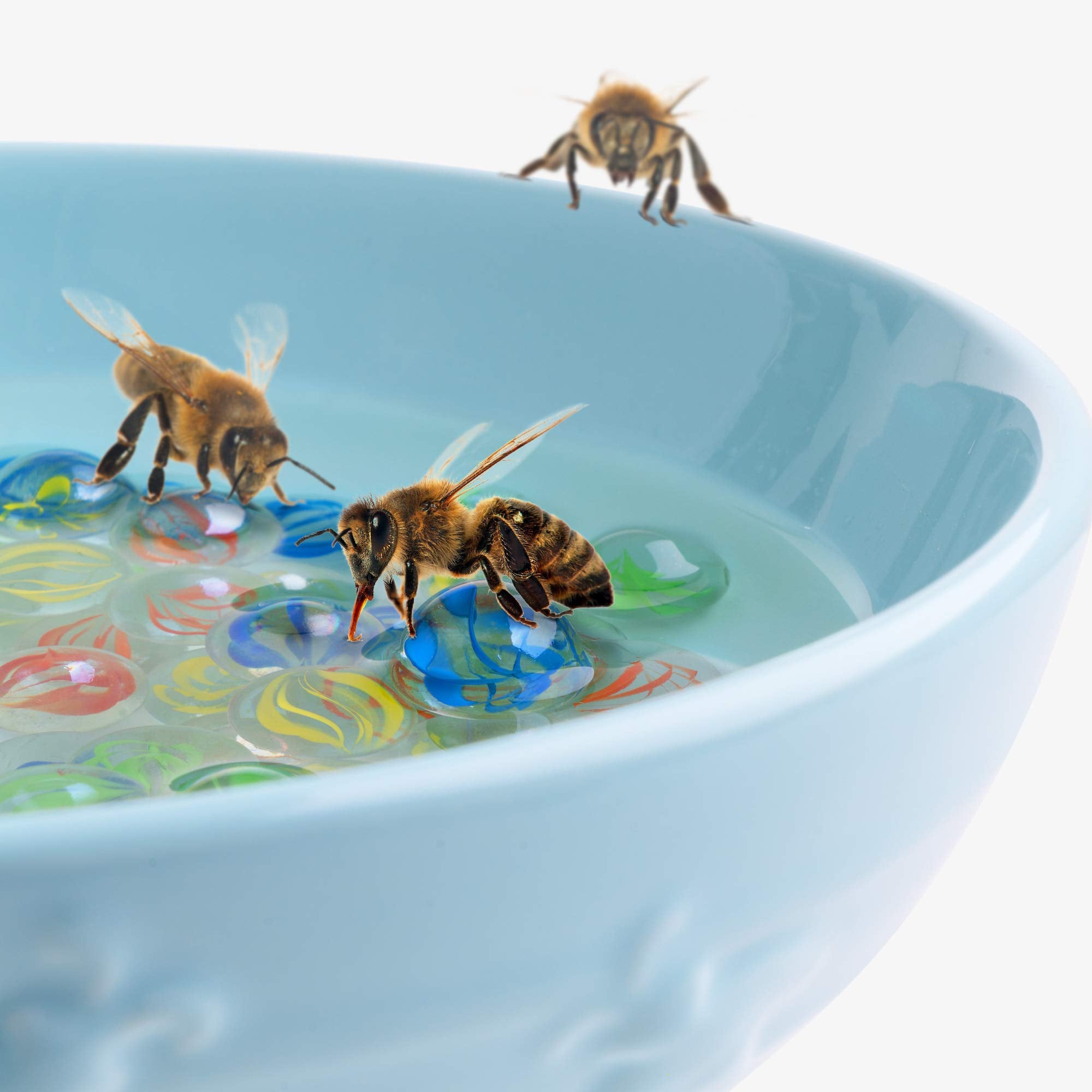 Navaris Bee Watering Station garden decor combines elegance with practical pollinator care