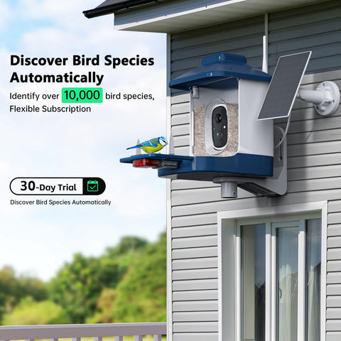 NAVFS Bird Feeder Camera 1080p view captures vivid daylight and dusk details.