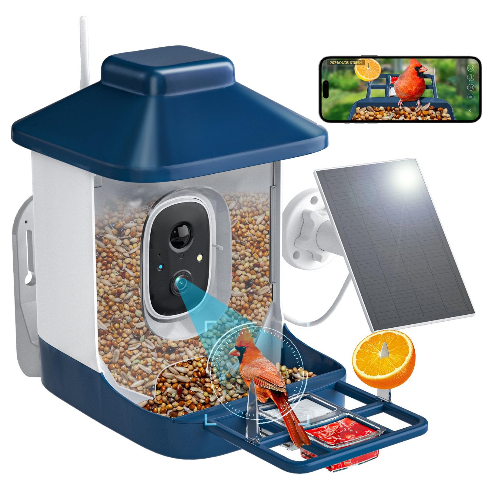 NAVFS Bird Feeder Camera setup in the garden enabling steady backyard viewing and AI IDs.