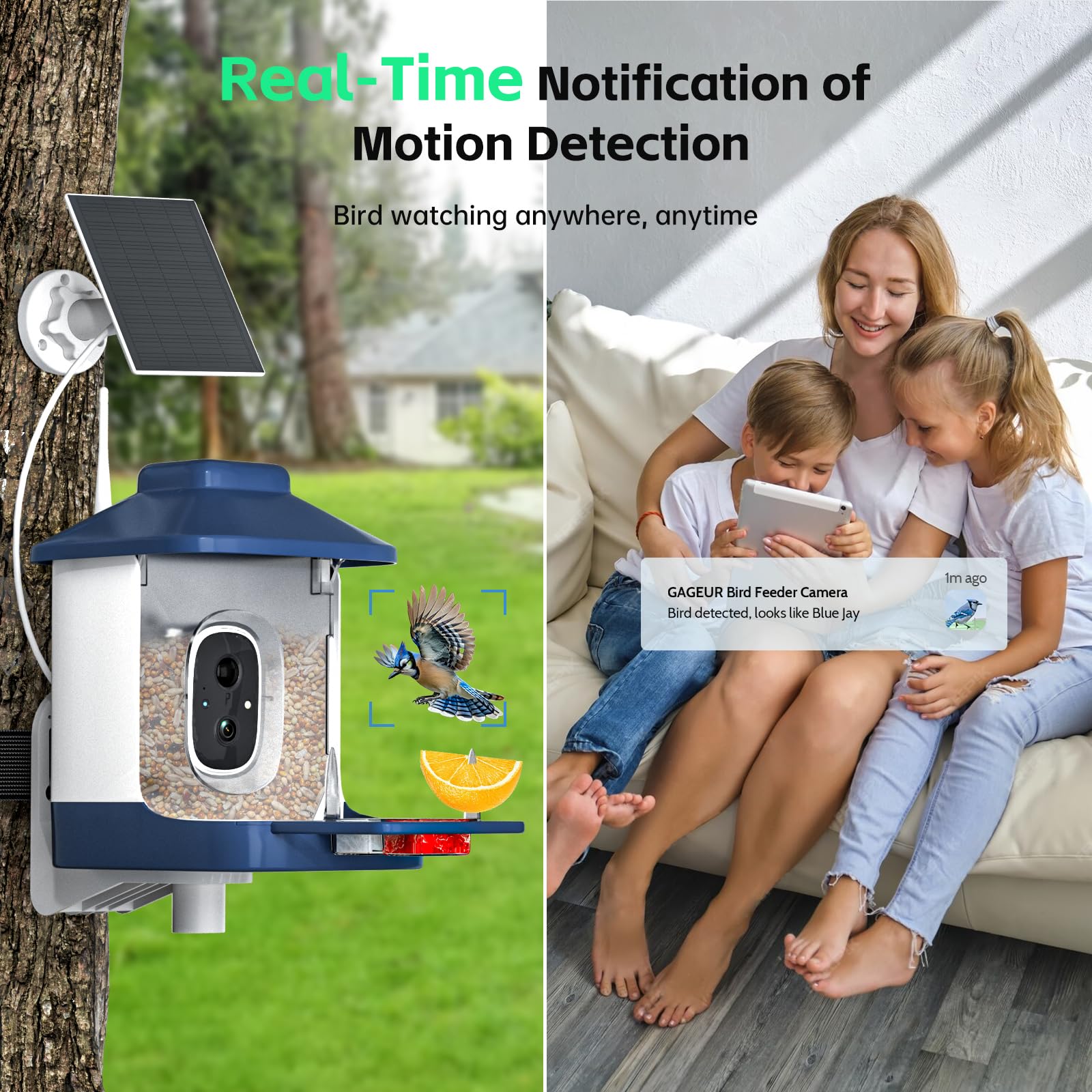 NAVFS Solar panel powers the feeder for longer, maintenance-free enjoyment.