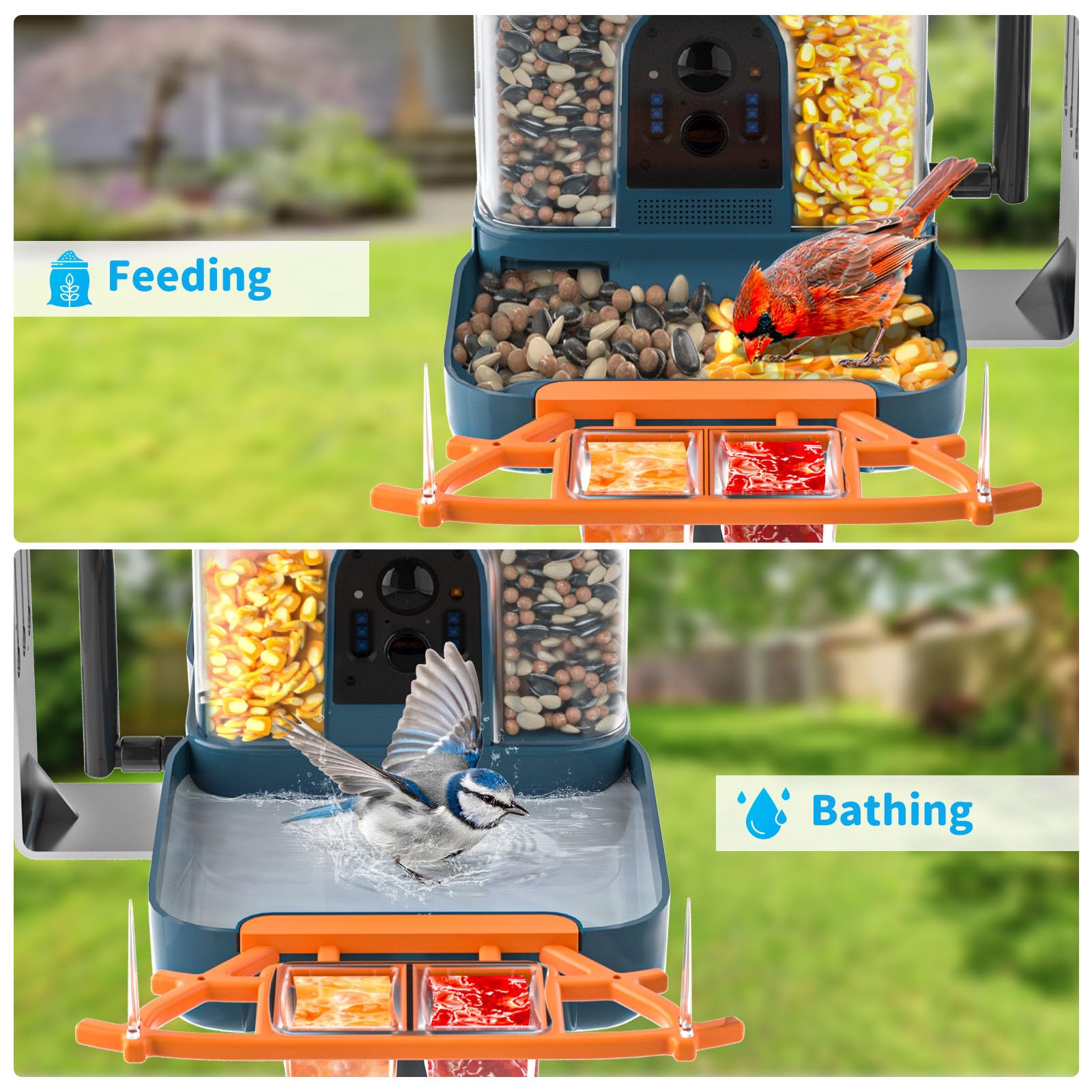 NAVFS Dual pantry trays serve varied seeds and treats for diverse visitors