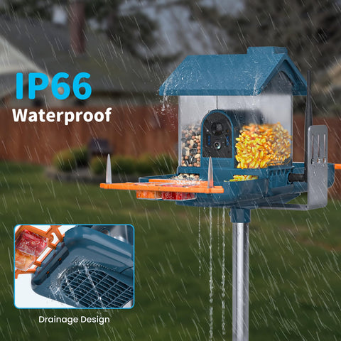 NAVFS Gift idea: Bird feeder camera for nature lovers and outdoor enthusiasts