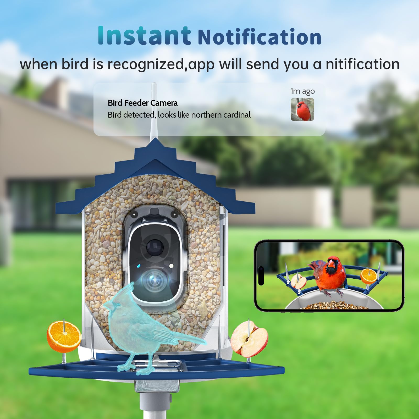 NAVFS Solar powered bird feeder keeps feeding during sunny days for extended viewing.
