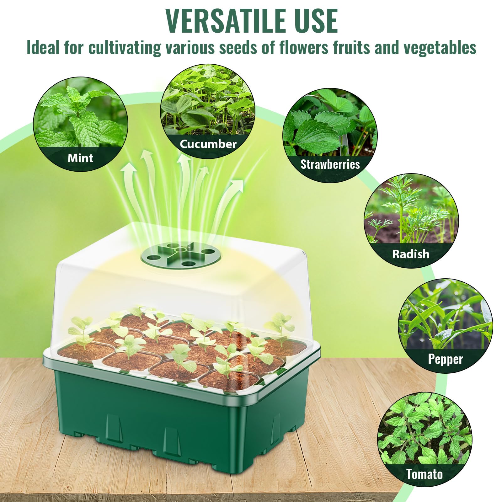 NBPLUS 5-pack seed trays with labels keeps seedlings organized.