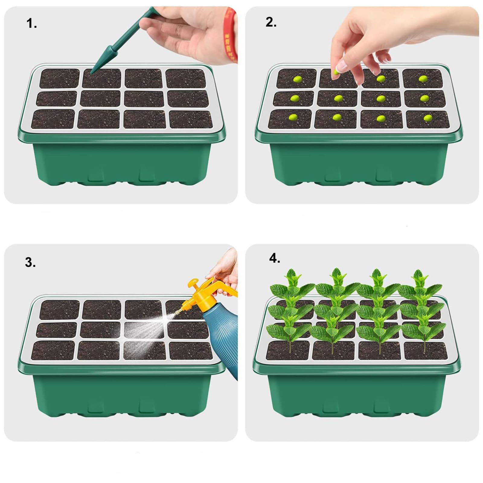 NBPLUS planting tools assist handling seedlings without damage.