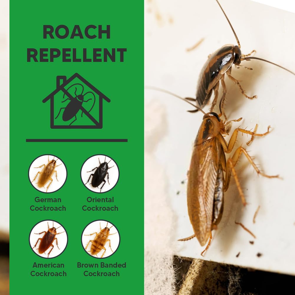 NCSIFDD roach repellent applied along cracks and corners to deter roaches.