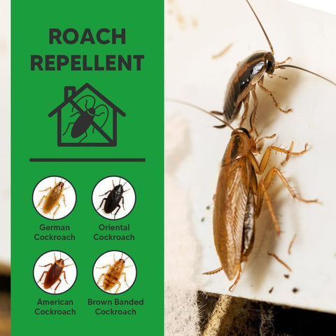 NCSIFDD roach repellent applied along cracks and corners to deter roaches.