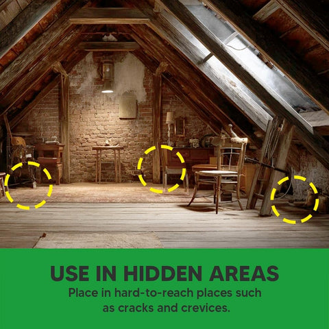 NCSIFDD roach repellent suitable for indoor and outdoor use across spaces.