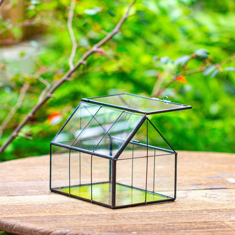 NCYP decorative terrarium centerpiece for home or office