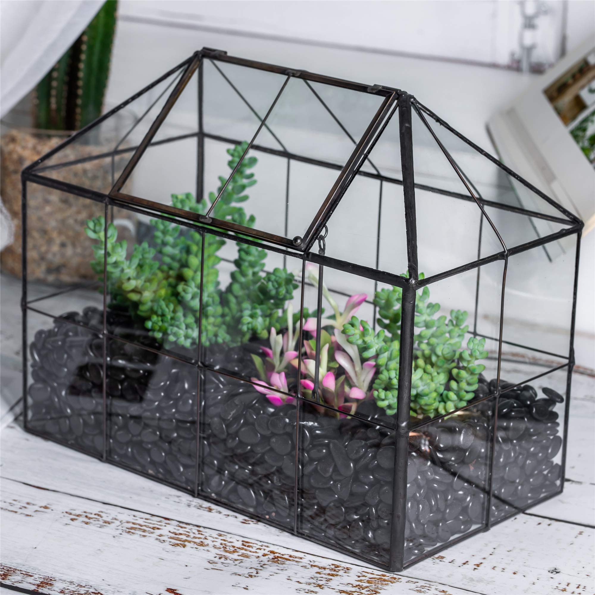 Geometric grid house style adds modern decor to indoor NCYP terrarium