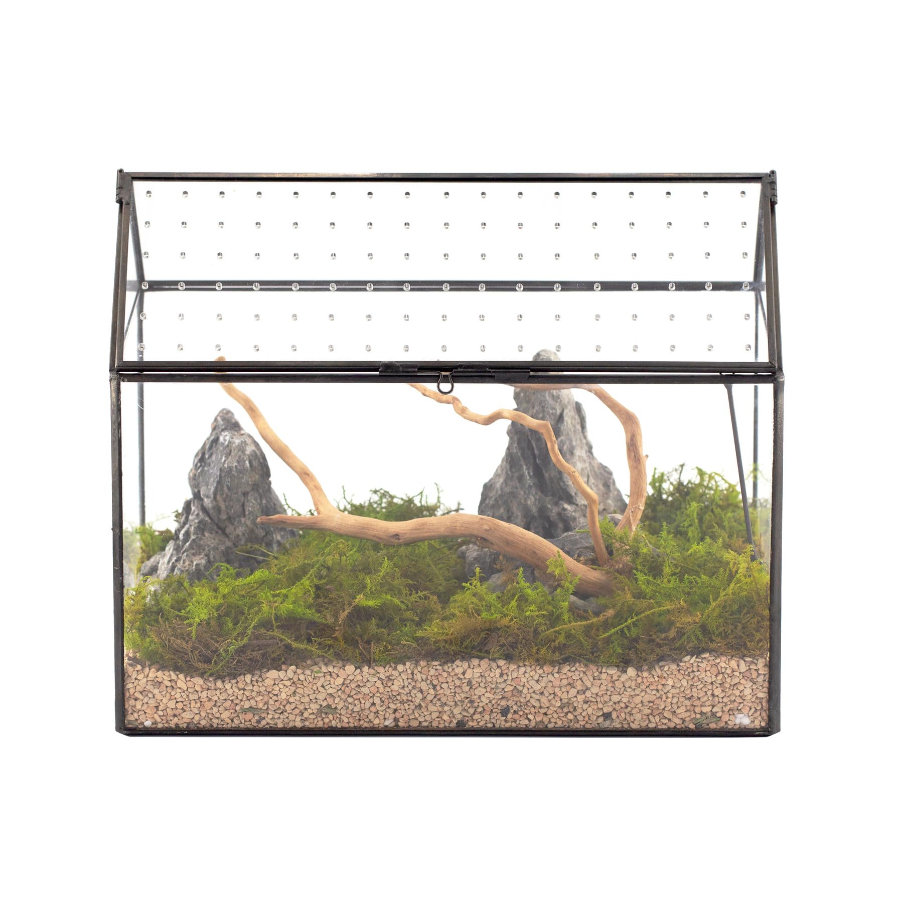 NCYP glass terrarium with house-lid for stylish indoor display of small pets.