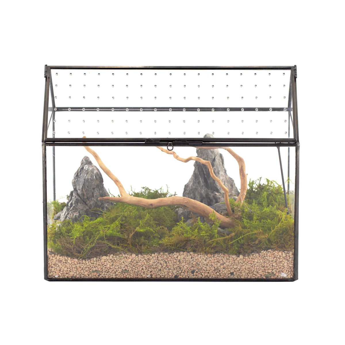 NCYP glass terrarium with house-lid for stylish indoor display of small pets.