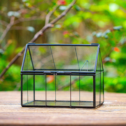 NCYP handmade terrarium craft combines tin and glass