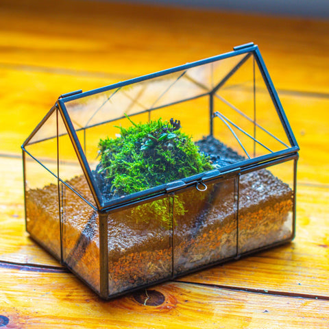 NCYP house-shape terrarium with roof open for easy planting