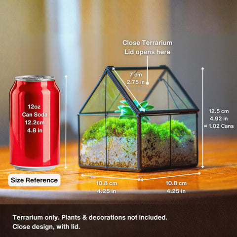 NCYP mini glass terrarium close up tin and glass craftsmanship
