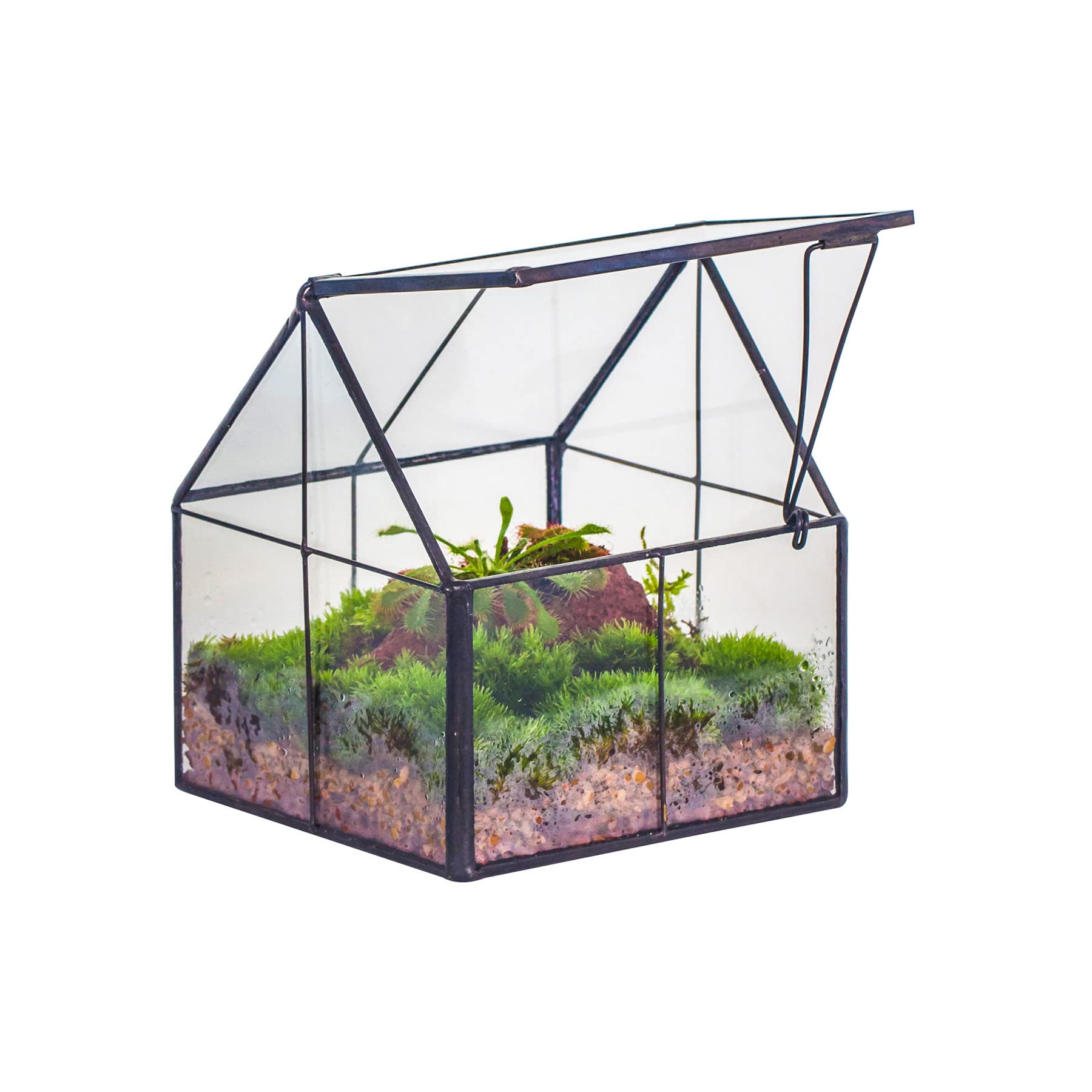 NCYP mini glass terrarium with lid front view, ideal for tiny plants