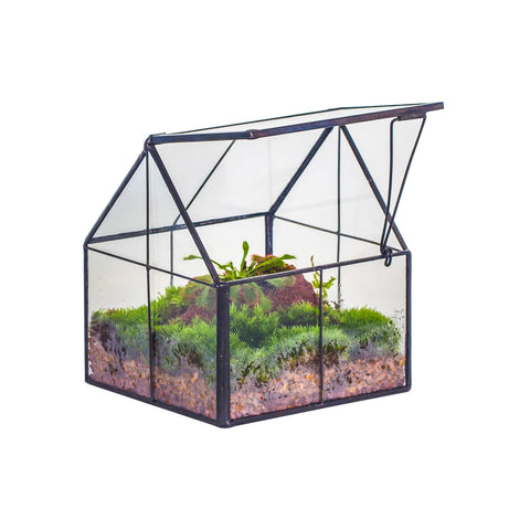 NCYP mini glass terrarium with lid front view, ideal for tiny plants