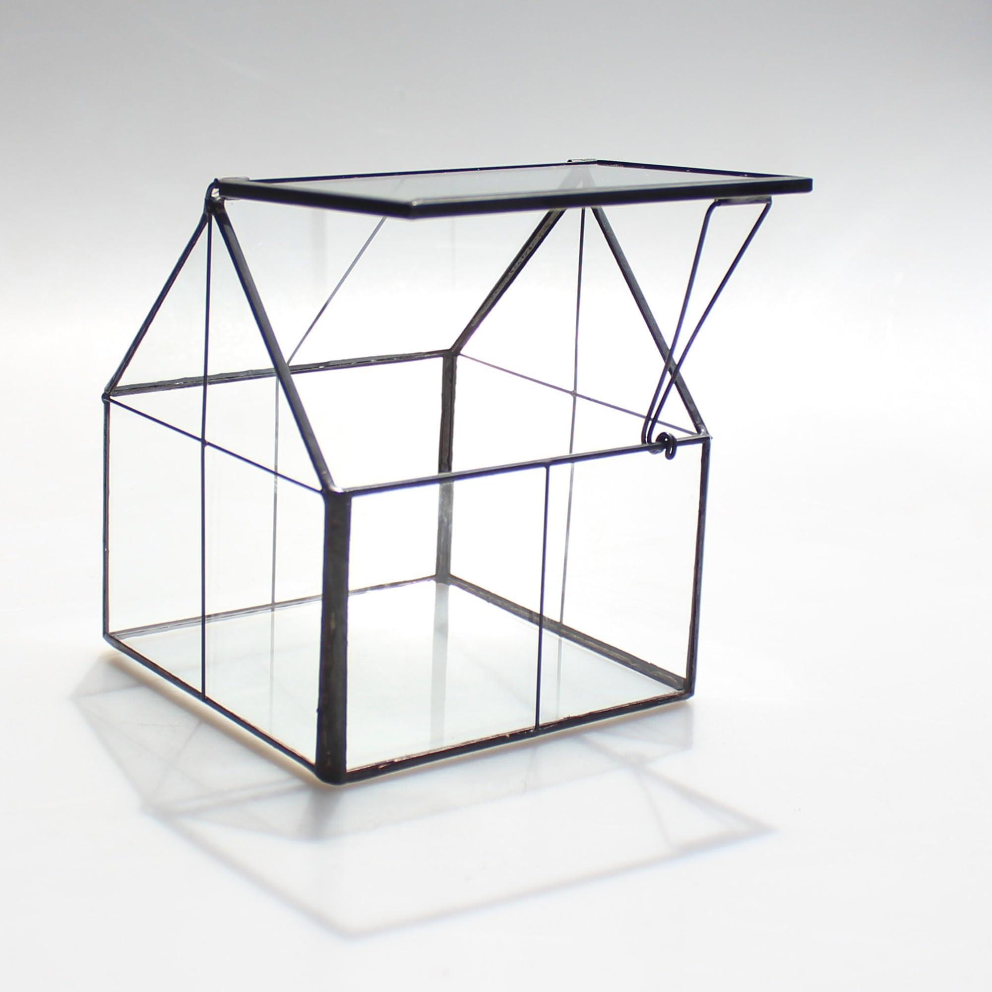 NCYP mini succulents terrarium interior ready for tiny plants