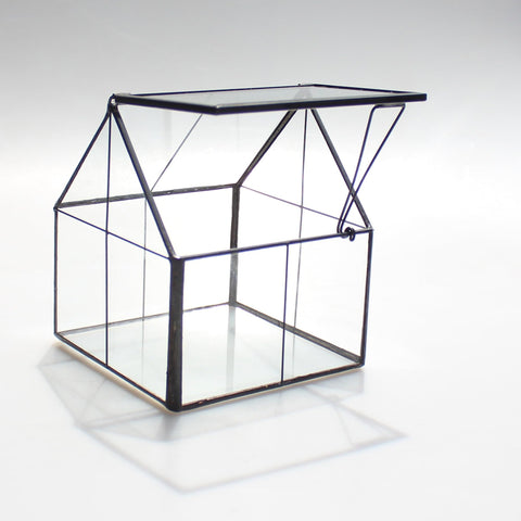 NCYP mini succulents terrarium interior ready for tiny plants