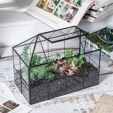 Miniature fairy garden setup inside NCYP glass terrarium with greenery