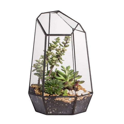 NCYP no door geometric terrarium front view, compact glass decor for desks and shelves