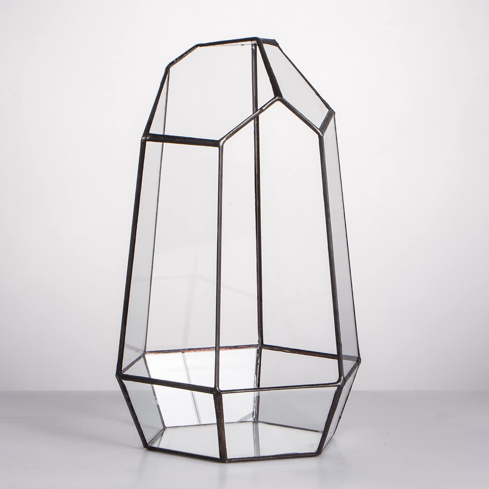 NCYP no door geometric terrarium mini plants inside, perfect for desktop plant displays