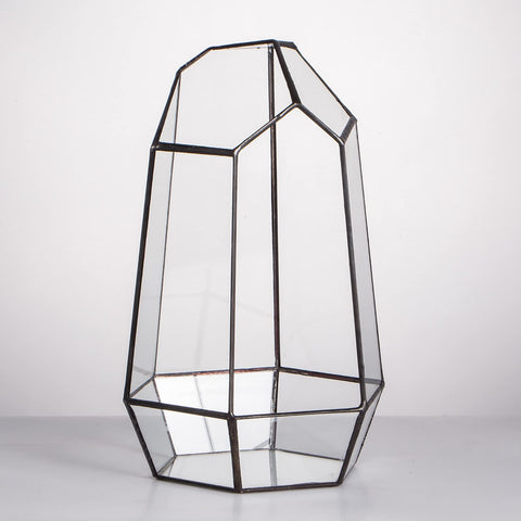 NCYP no door geometric terrarium mini plants inside, perfect for desktop plant displays