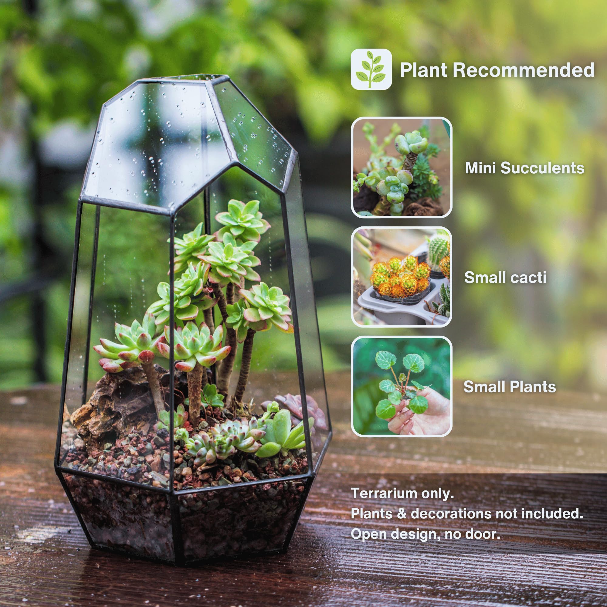 NCYP no door geometric terrarium side view, ideal for showcasing tiny succulents