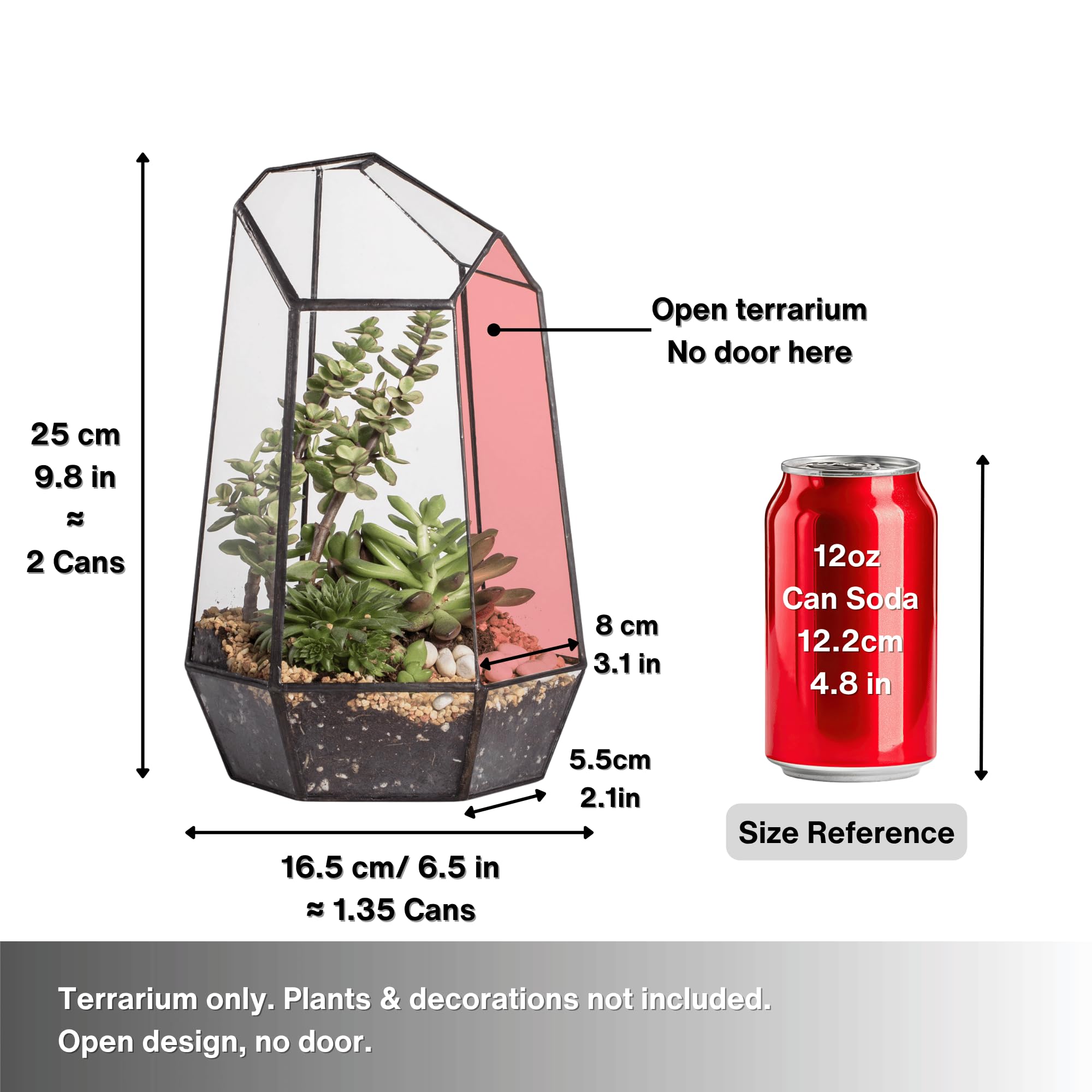 NCYP no door geometric terrarium top view, highlights clear glass and light transmission