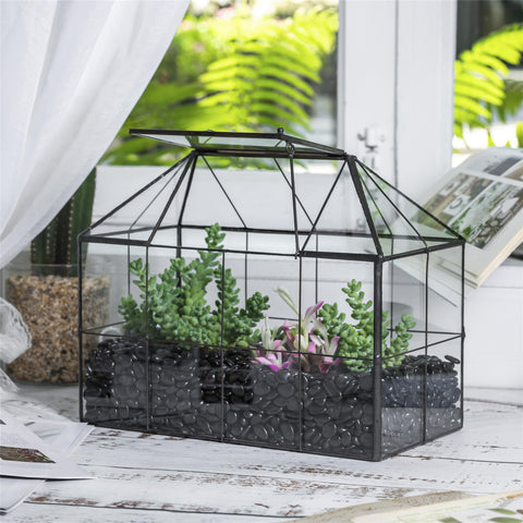 Warning: not designed to hold water in NCYP glass terrarium