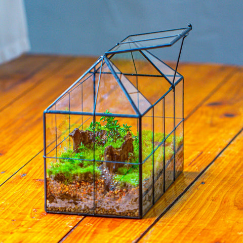 Reinforced glass panels and tin-soldered frame of NCYP terrarium