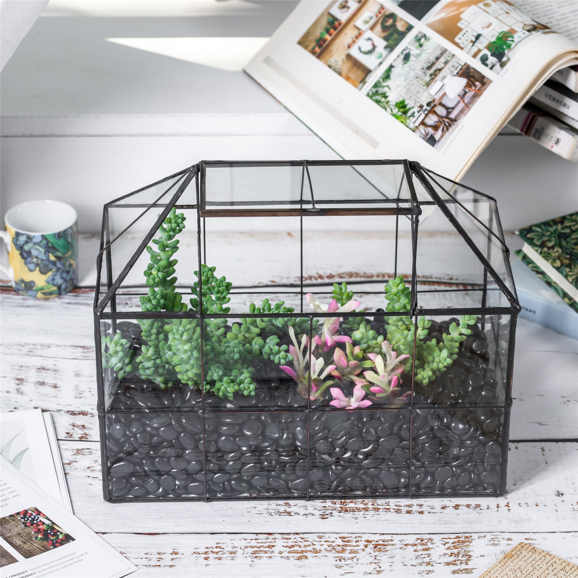 Small plant moss display arranged inside NCYP terrarium for display