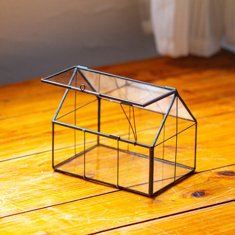 NCYP small succulent terrarium setup fits on shelves