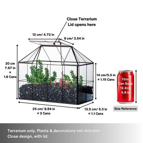 Compact NCYP terrarium ideal for tiny succulents and moss on a tabletop