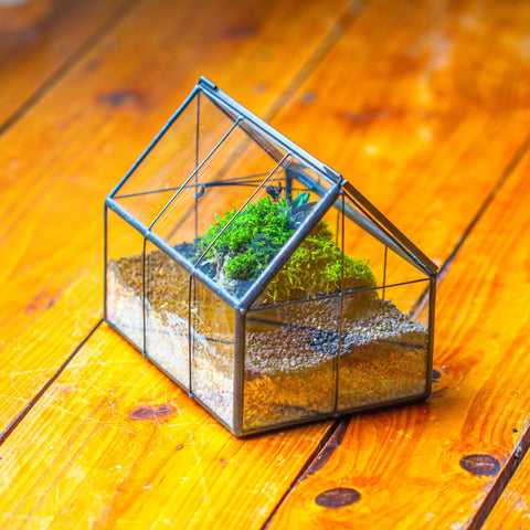 NCYP dimensions 6.1x4.25x4.92—compact planter for desks