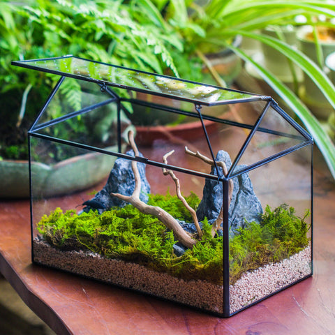 NCYP terrarium humidity warning note about lid warping in high humidity.