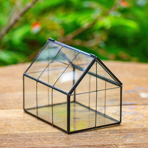 NCYP terrarium roof open for simple watering access