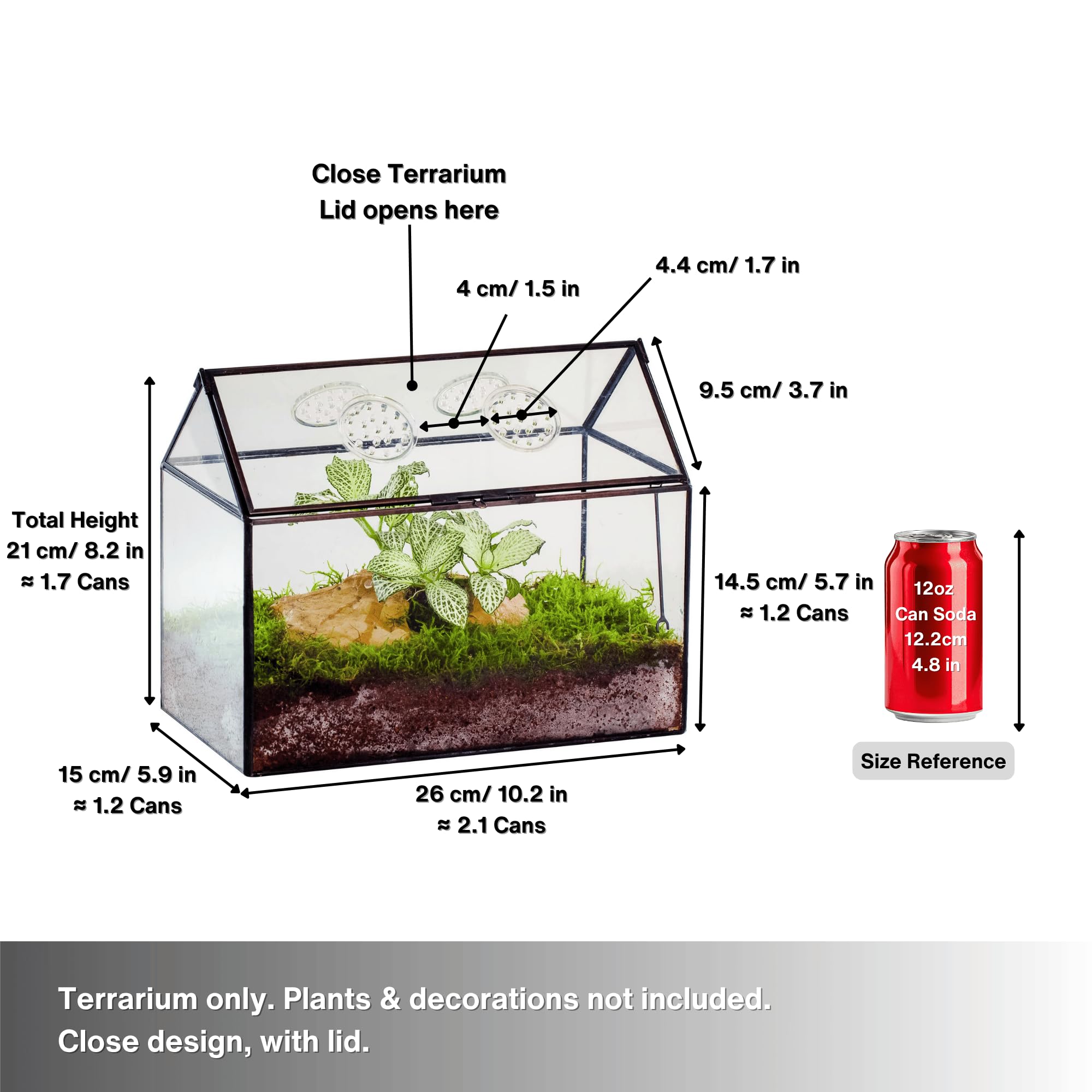 NCYP terrarium swing lid shown open for easy tending
