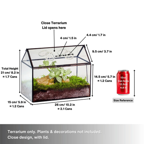 NCYP terrarium swing lid shown open for easy tending