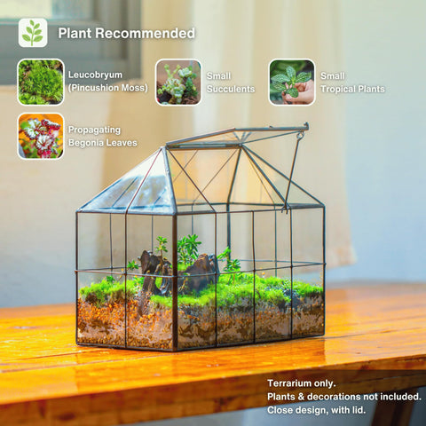 Close-up of swing top on NCYP terrarium showing moisture control feature