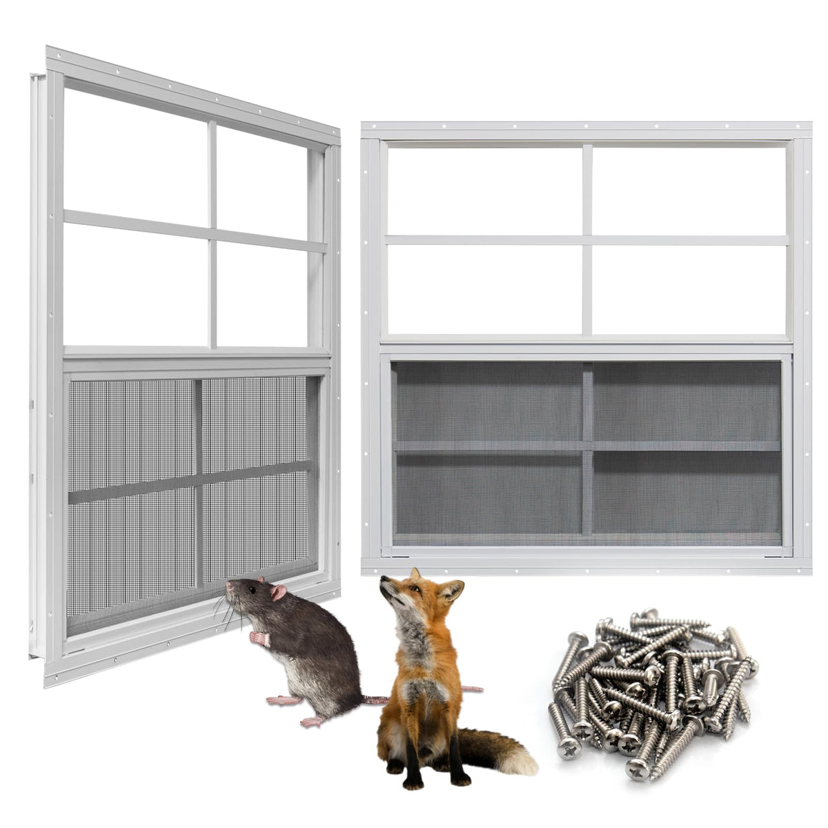 NeatiEase 30x36 tempered-glass shed window gleams with daylight and wind resistance