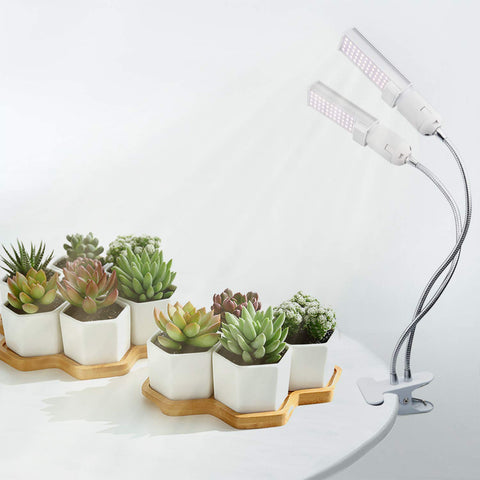 Necgemlex energy-saving LED design reduces power use