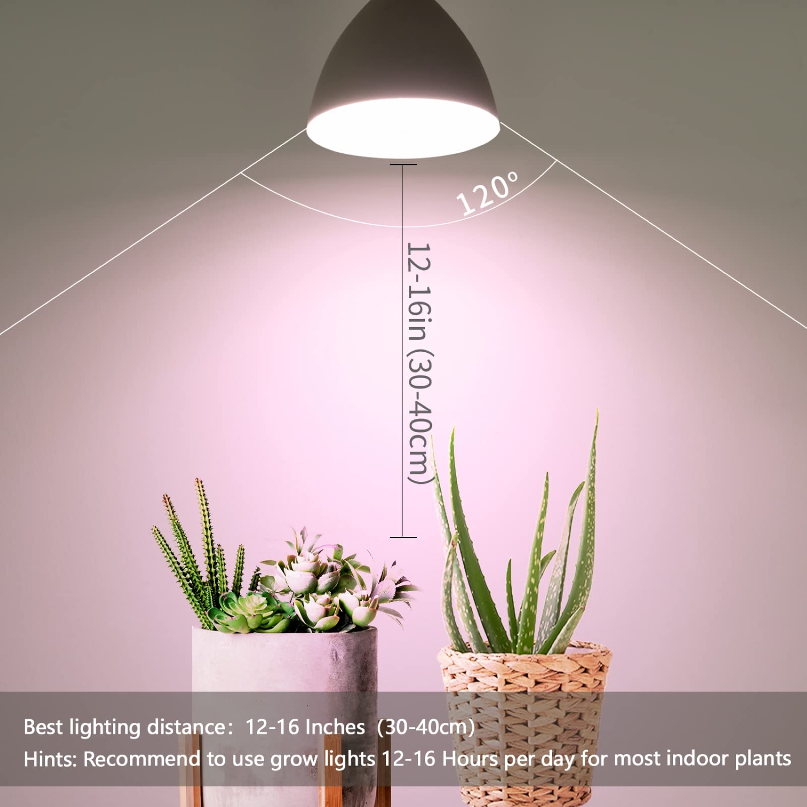 Necgemlex indoor plants growth setup bulb providing targeted light benefits.
