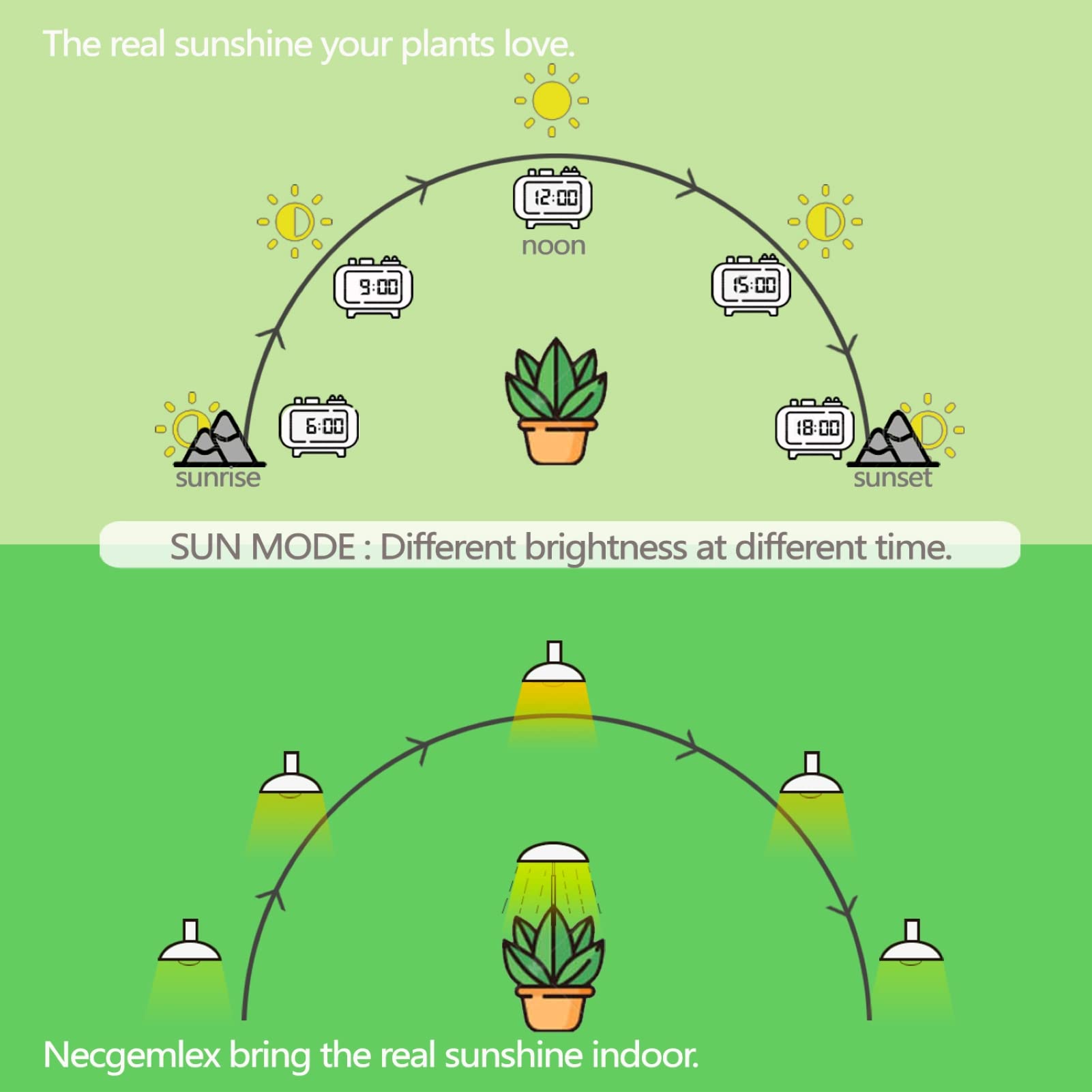 Necgemlex sun-mode dimming adapts light for sunrise-like growth