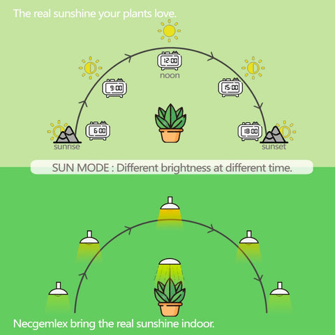 Necgemlex sun-mode dimming adapts light for sunrise-like growth