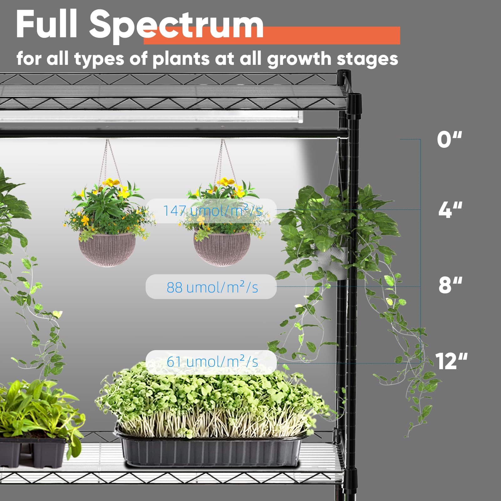 Nedechom built-in timer keeps grow lights on schedule