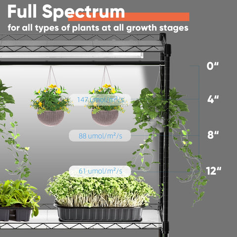 Nedechom built-in timer keeps grow lights on schedule