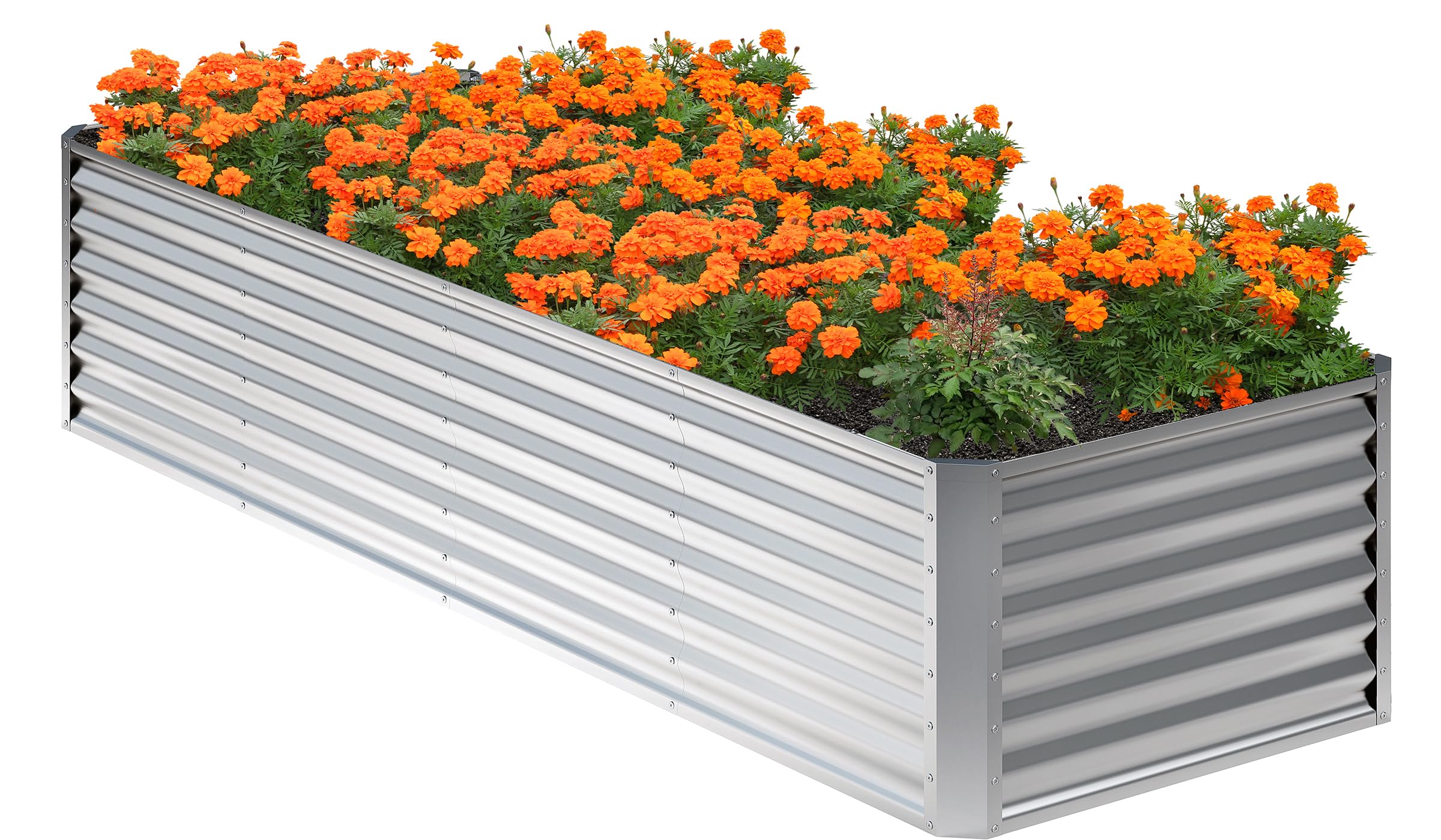 Nedenyou 8x2x2ft galvanized raised garden bed ready for spacious outdoor planting