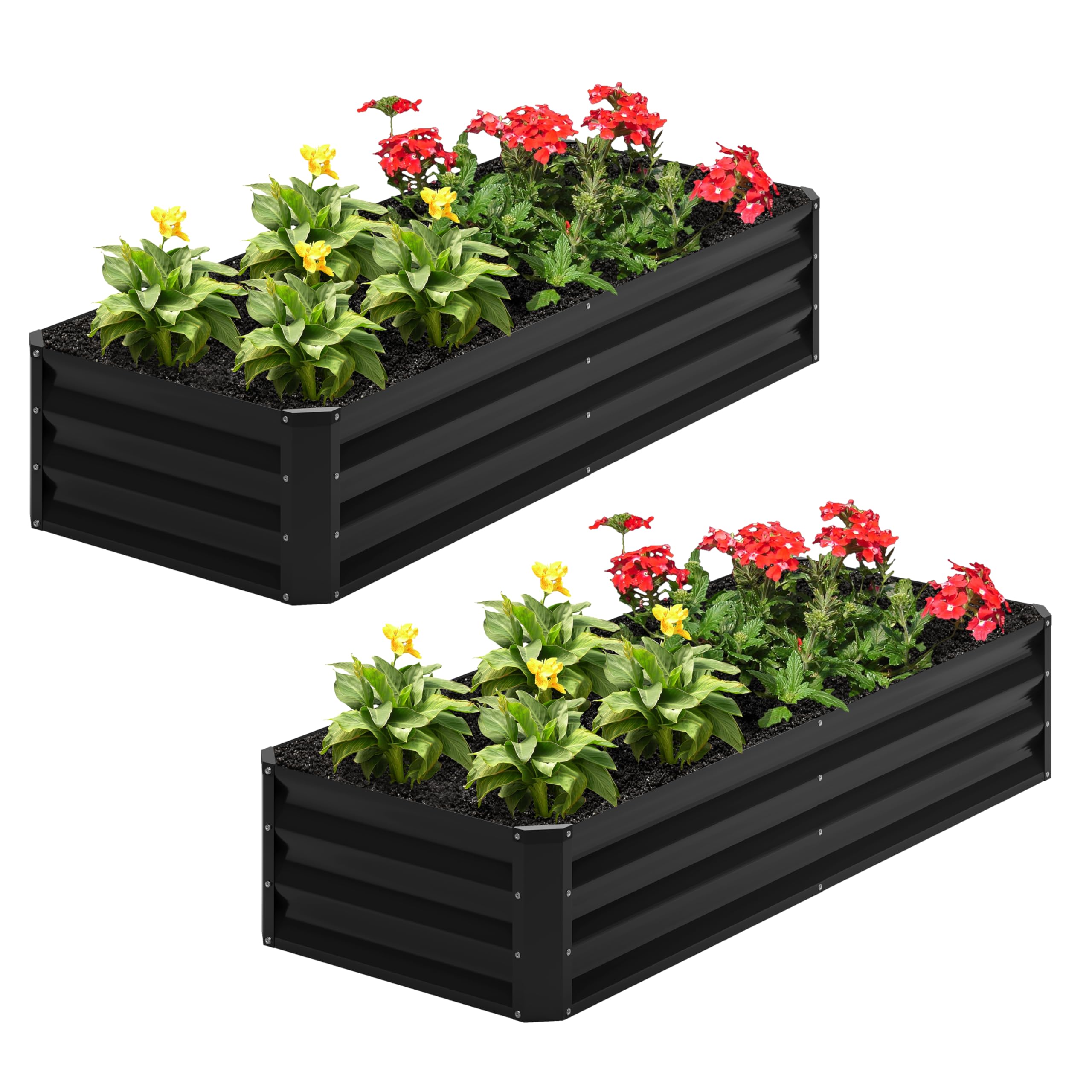 Nedenyou galvanized raised bed with a large 48x24 planting area for vegetables and herbs.