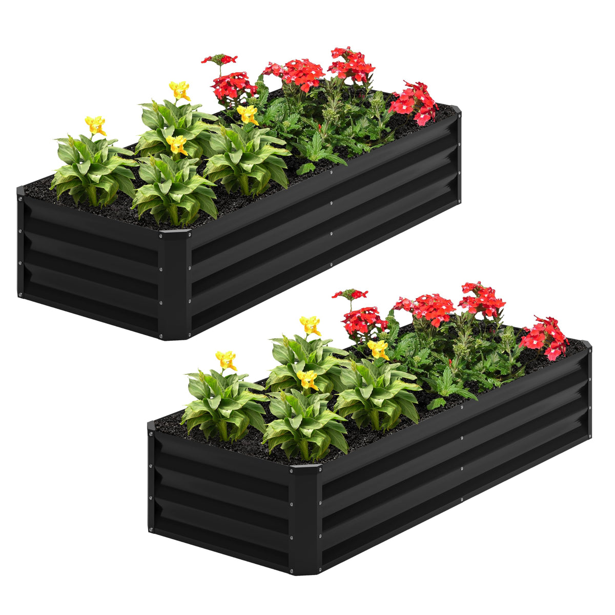 Nedenyou galvanized raised bed with a large 48x24 planting area for vegetables and herbs.